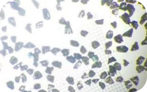 690174e37d351.png G999.png